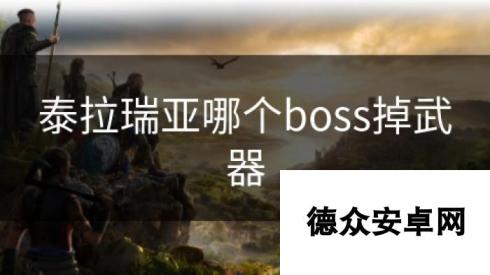 泰拉瑞亚哪个boss掉武器