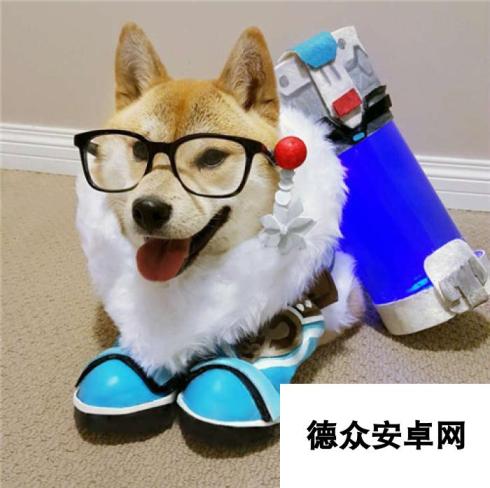 当Doge遇上OW 柴犬神COS守望先锋英雄