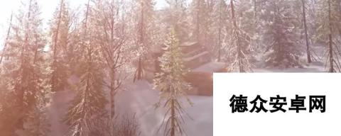 雪地奔驰PayStar 5070好不好用